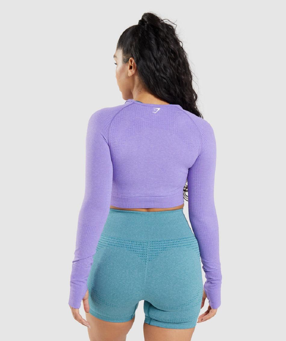 Corp Tops Gymshark Vital Seamless 2.0 Long Sleeve Mujer Moradas Claro | CO 2473KOR